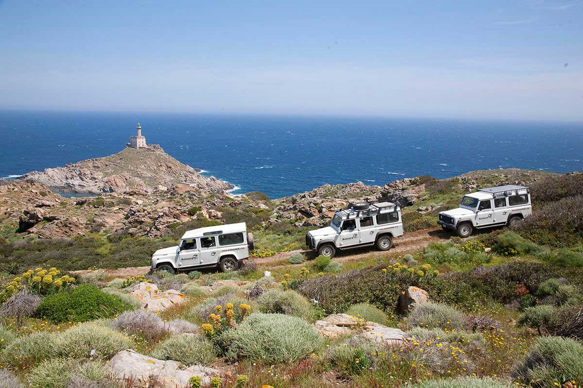 Excursión por Asinara en 4x4